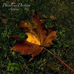 免费无遮挡🔞直播网站进口
